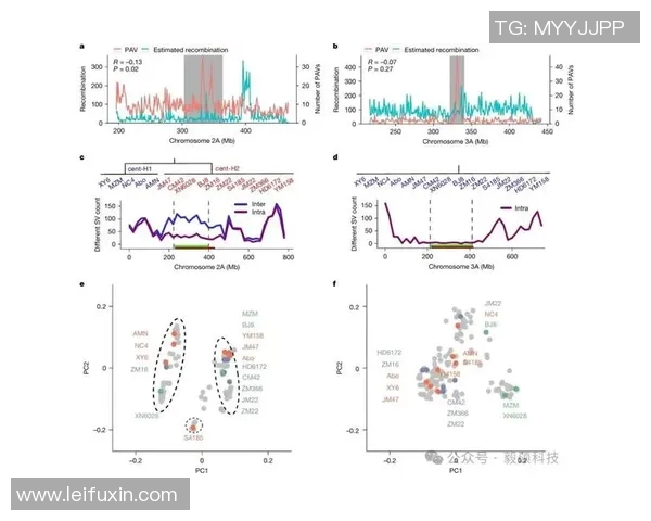 广州篮球队速度表现分析:数据揭示球队快攻效率与比赛胜负关系 广州篮球队速度表现分析:数据揭示球队快攻效率与比赛胜负关系